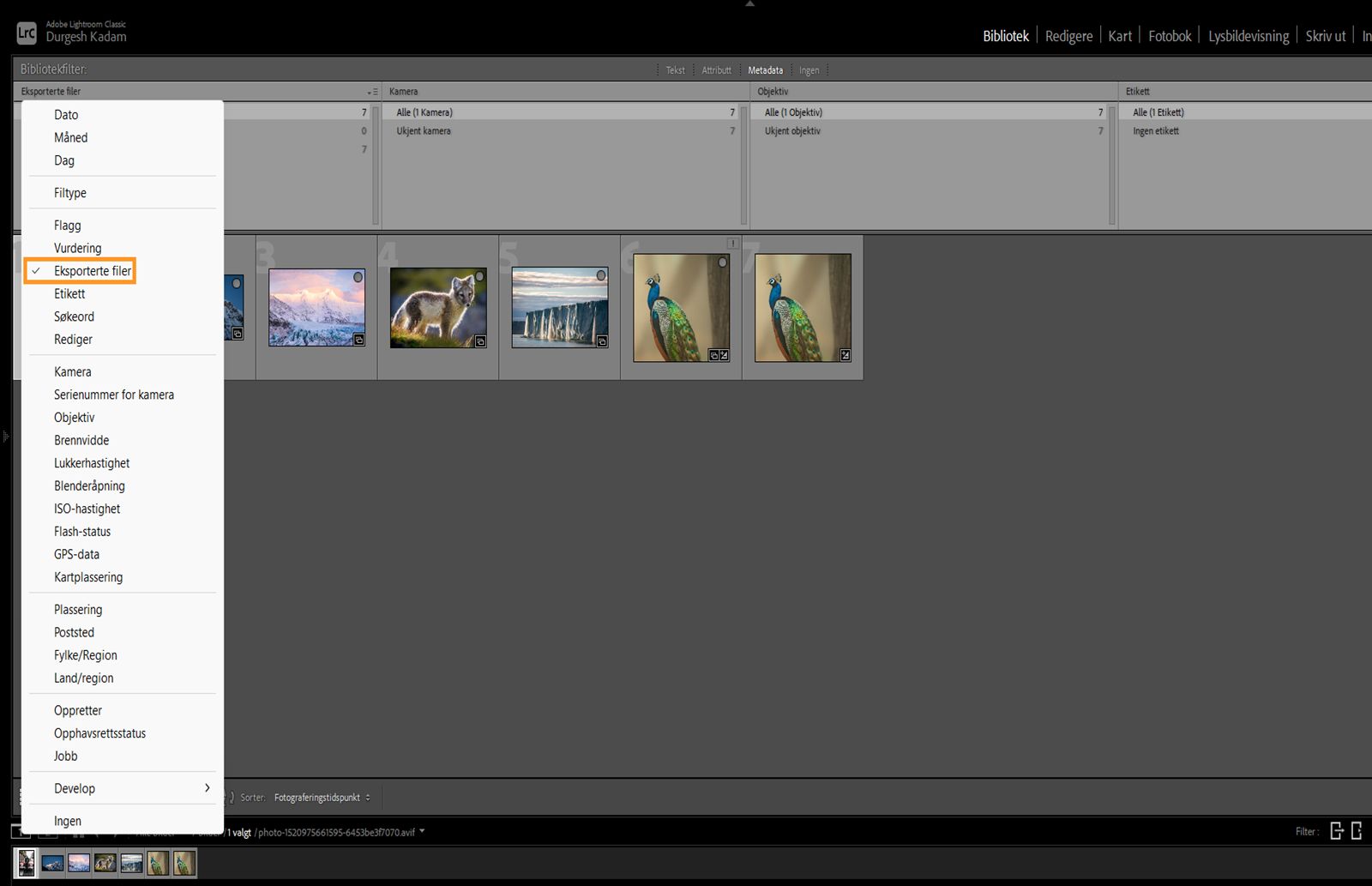 Metadata eksporterte filer filtrerer plassering
