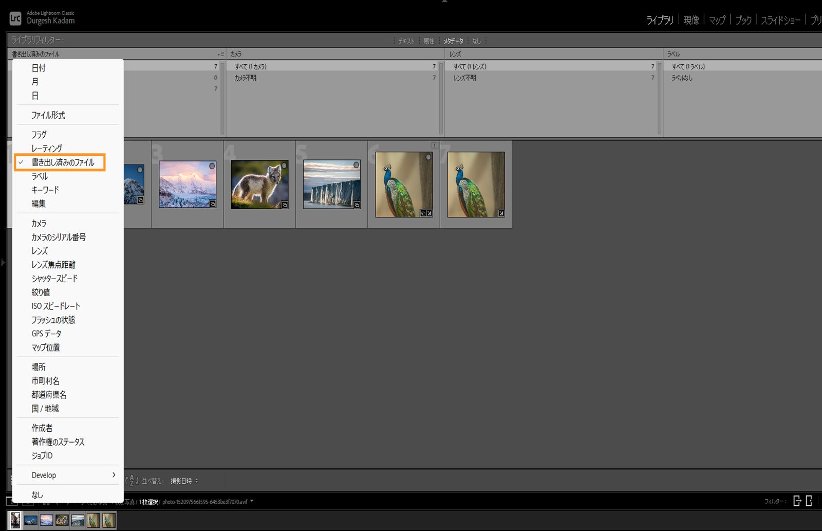 メタデータの書き出し済みのファイルフィルターの場所