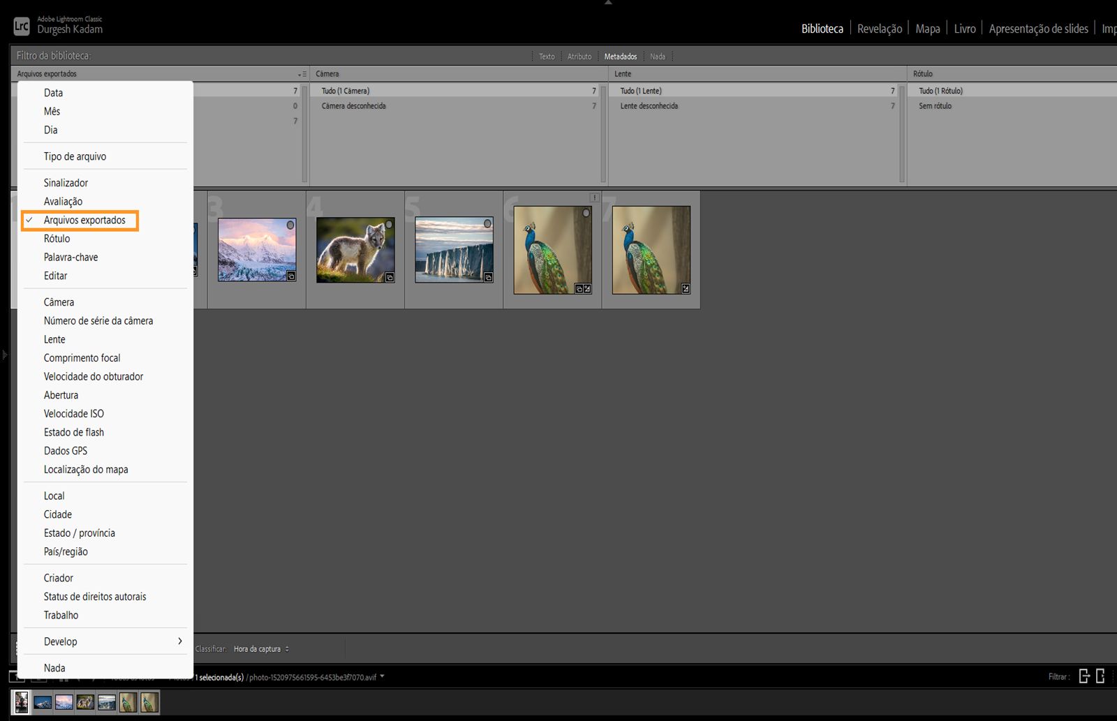 Local do filtro de arquivos exportados de metadados