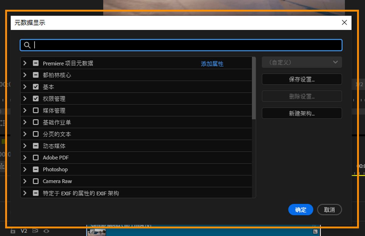 元数据显示对话框，其中包含元数据架构的复选框，如 Dublin Core、Basic 和 Rights Management。