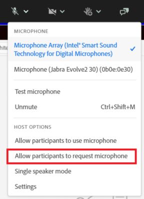 Allow participants to request microphone access menu option