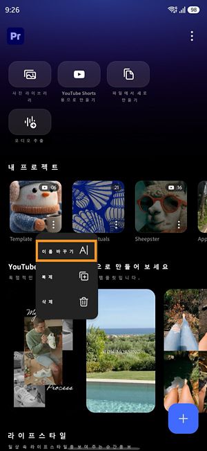 이름 바꾸기 옵션을 표시하는 Premiere 프로젝트의 기타 옵션 메뉴입니다.