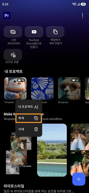복제 옵션을 보여주는 Premiere 프로젝트의 기타 옵션 메뉴입니다.