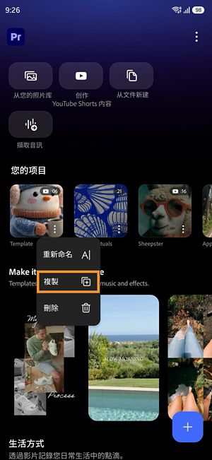 Premiere 项目的“更多选项”菜单，其中显示“复制”选项。