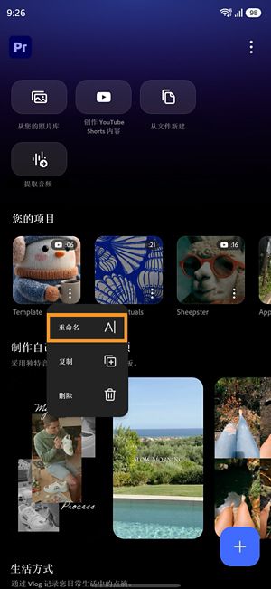 Premiere 项目的更多选项菜单，显示重命名选项。