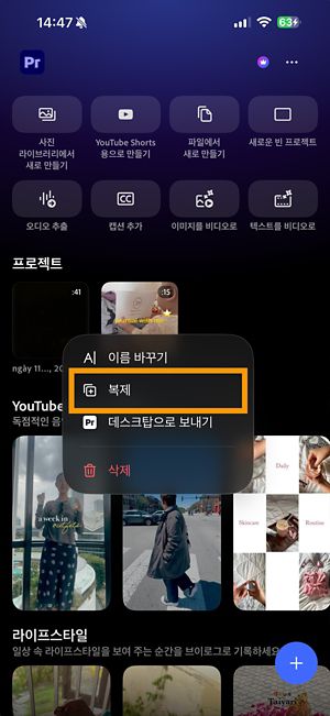 복제 옵션을 보여주는 Premiere 프로젝트의 기타 옵션 메뉴입니다.