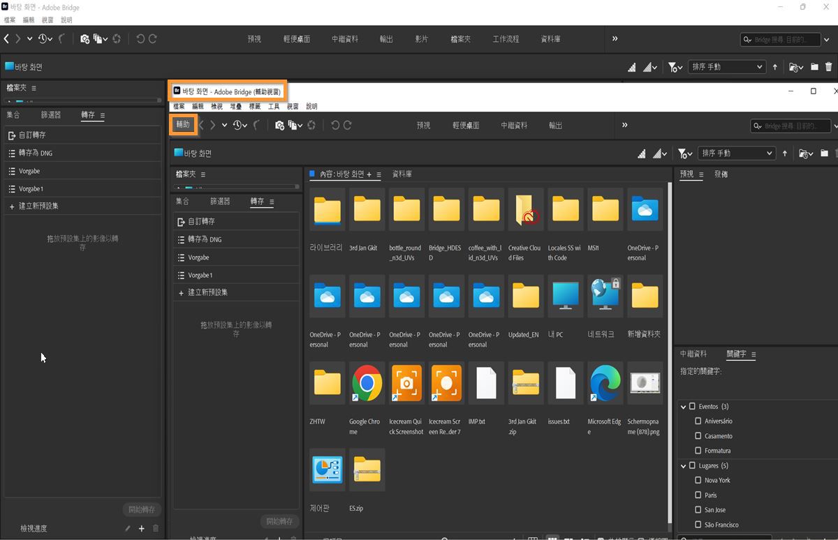 使用「檔案 > 新視窗」工作流程，在 Bridge 中開啟多個視窗。 