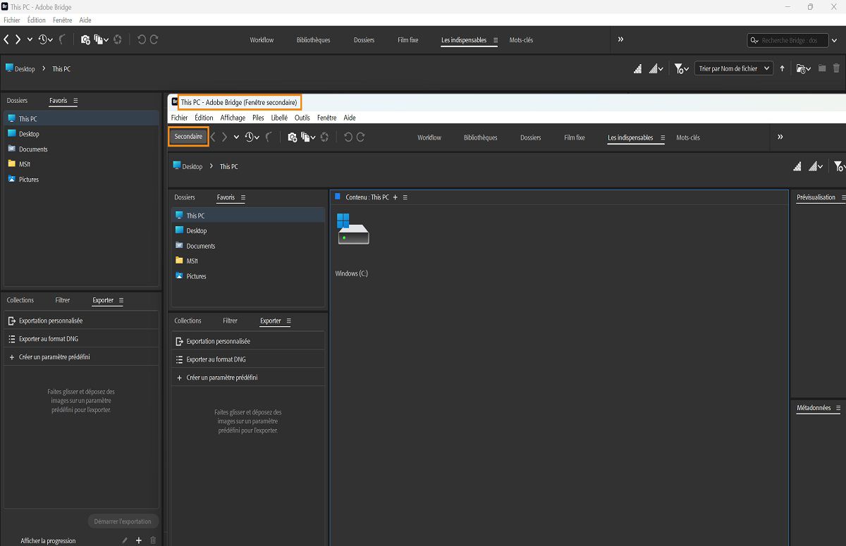Ouvrez plusieurs fenêtres dans Bridge à l’aide du workflow Fichier > Nouvelle fenêtre. 