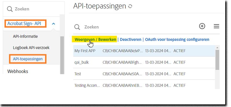 De API-applicatiepagina met de geselecteerde applicatie en de weergegeven acties.