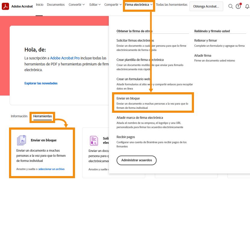 Opciones de la herramienta Enviar en bloque