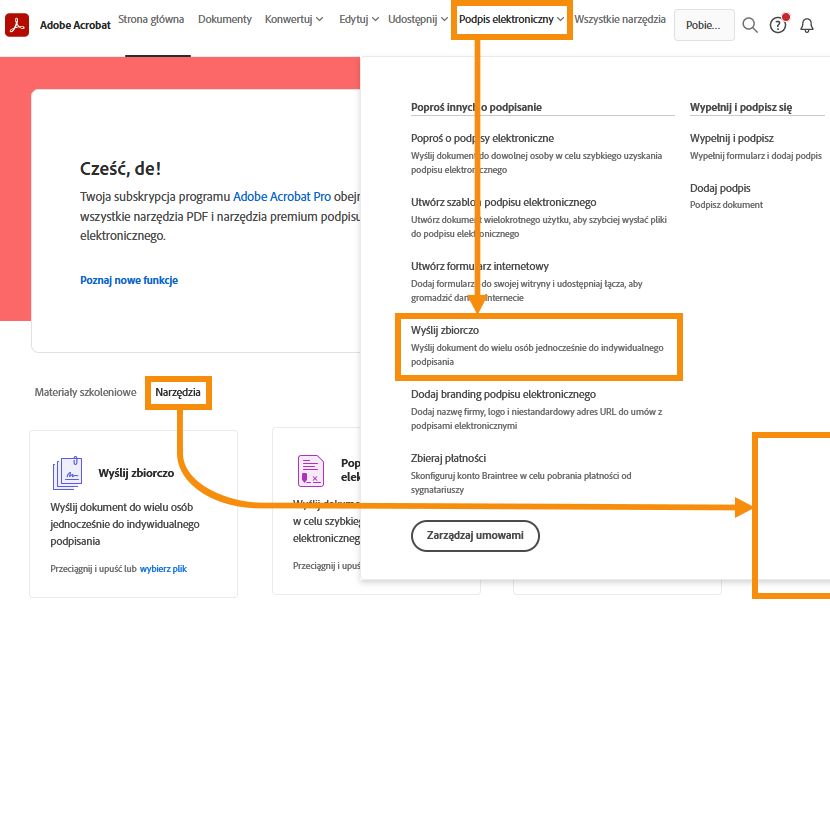 Opcje narzędzia Wyślij zbiorczo