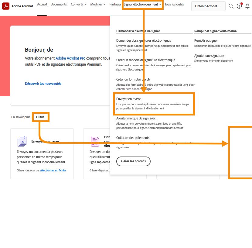 Options de l’outil Envoyer en masse