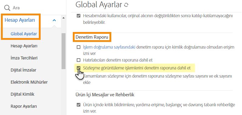 Genel Ayarlar'ın Denetim Raporu bölümüne gidin