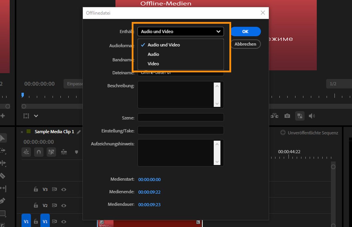 Dialogfeld „Offline-Datei“ mit aufgeklapptem Menü „Enthält“, in dem die Optionen „Audio und Video“, „Audio“ und „Video“ angezeigt werden.