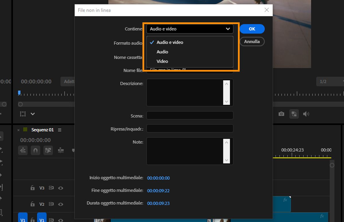 Finestra di dialogo Offline File con il menu Contains espanso per mostrare le opzioni Audio and Video, Audio e Video.