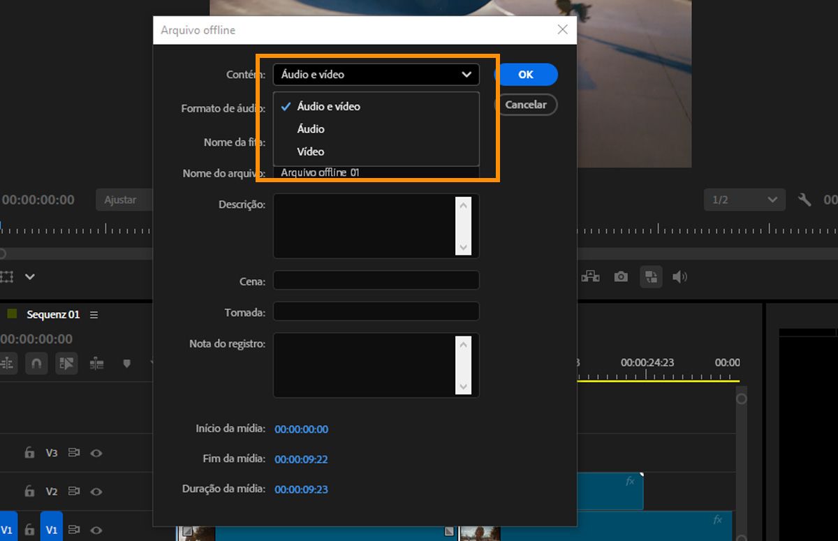 Diálogo Arquivo offline com o menu Contém expandido para mostrar as opções Áudio e vídeo, Áudio e Vídeo.