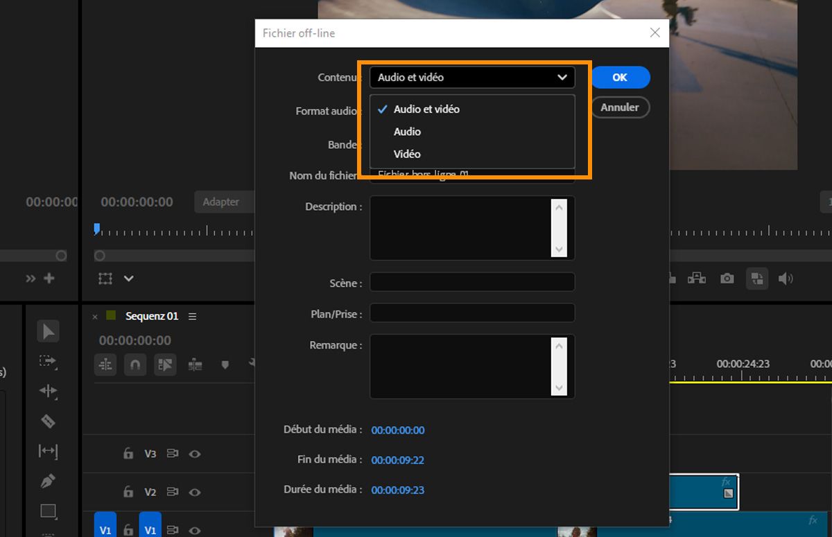 Boîte de dialogue Fichier hors ligne avec le menu Contient développé pour afficher les options Audio et vidéo, Audio et Vidéo.