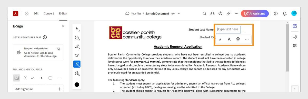המסמך פתוח בכלי E-Sign בחלונית השמאלית. כלי התיבה של Text מציג שדה להזנת טקסט וכלים כדי לפרמט את הטקסט. 