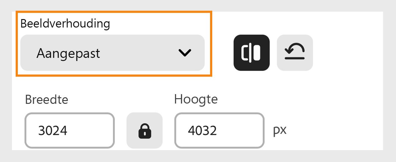 Selecteer op het scherm Formaat afbeeldingen aanpassen de gewenste grootte in het vervolgkeuzemenu Beeldverhouding en voer de afmetingen in pixels in onder de tekstvakken Breedte en Hoogte. 