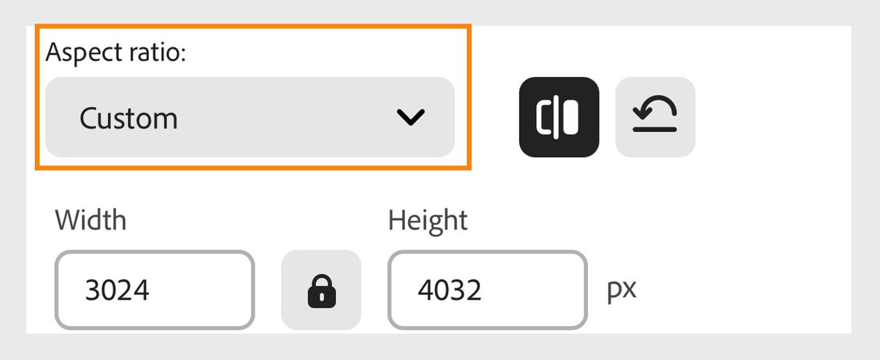 Wähle auf dem Bildschirm „Bildgröße ändern" die gewünschte Größe aus, um die Bildgröße unter dem Dropdown-Menü „Seitenverhältnis" zu ändern, und gib die Abmessungen in Pixeln in die Textfelder „Breite" und „Höhe" ein. 