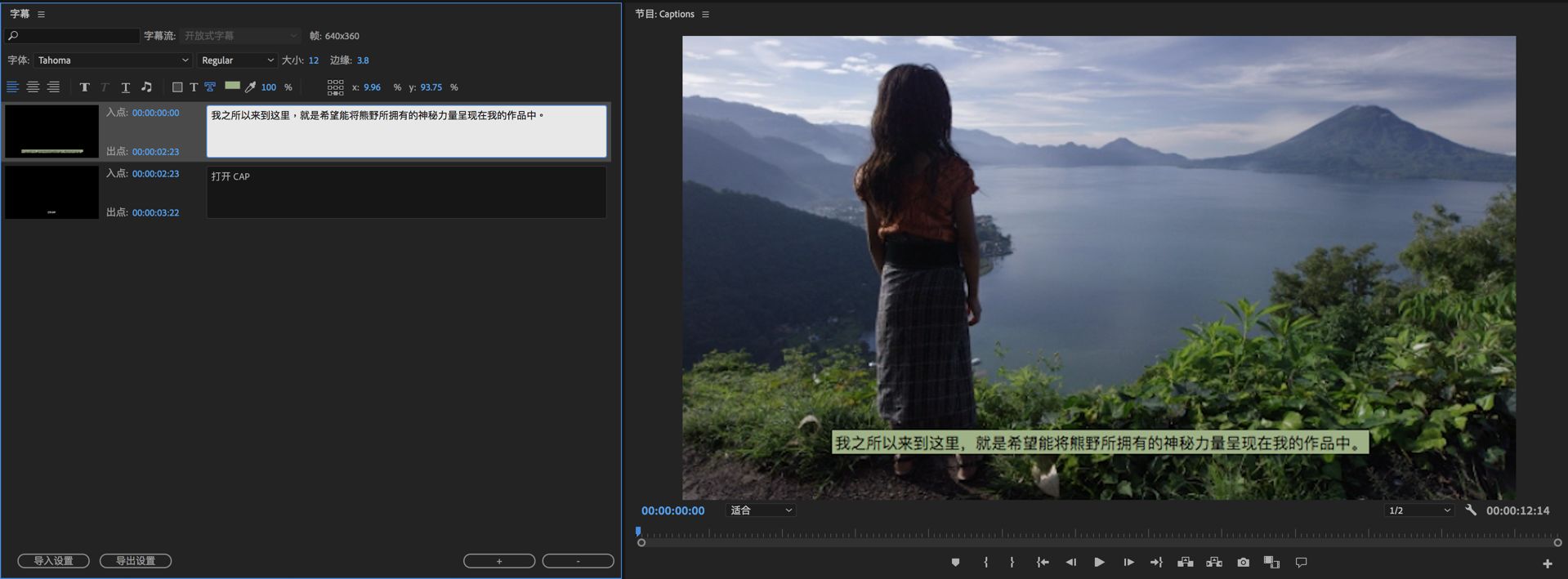 编辑开放说明性字幕