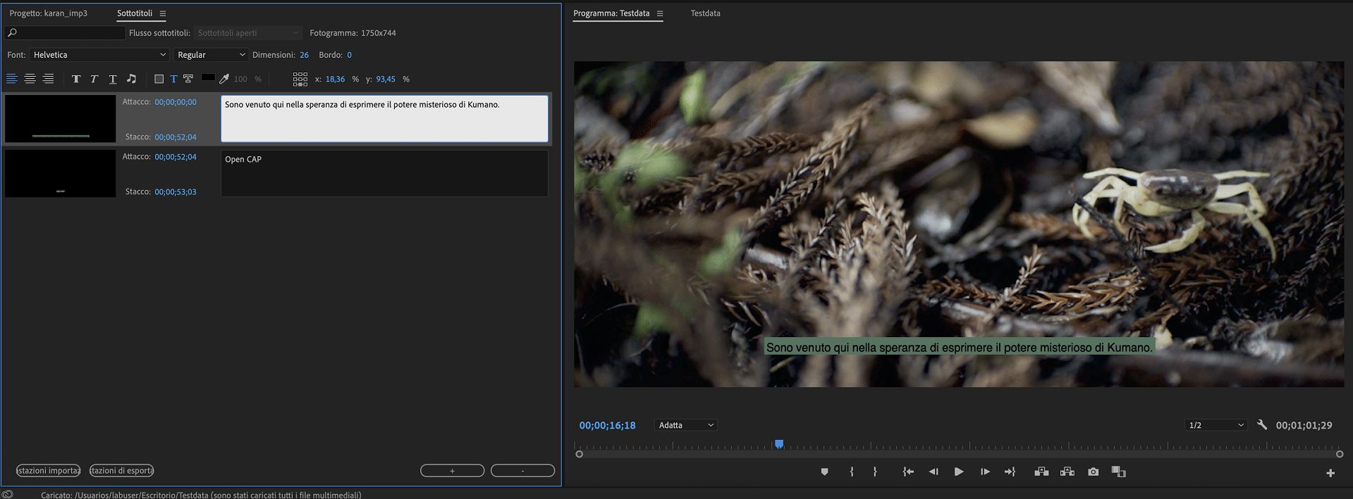 Modifica sottotitoli aperti