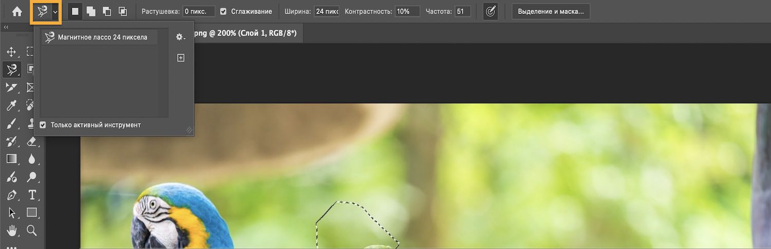 На панели «Параметры» отображаются режимы выделения, и установлен флажок «Только активный инструмент».