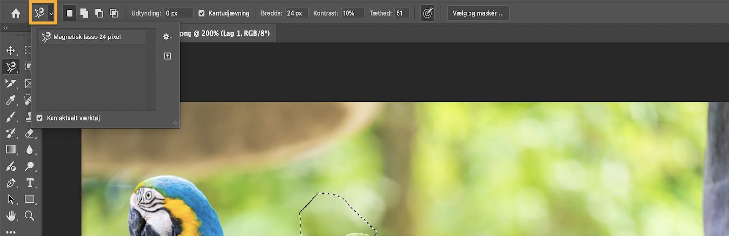 Indstillingslinjen viser markeringstilstande, og afkrydsningsfeltet Kun aktuelt værktøj er valgt.