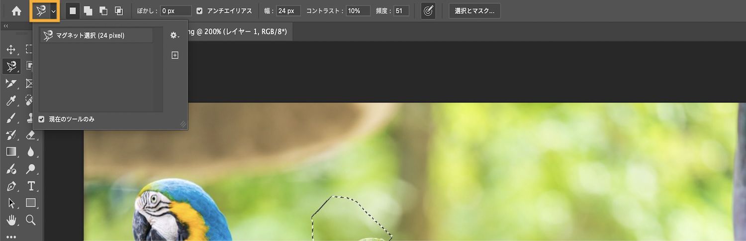 オプションバーに選択モードが表示され、現在のツールのみチェックボックスが選択されています。