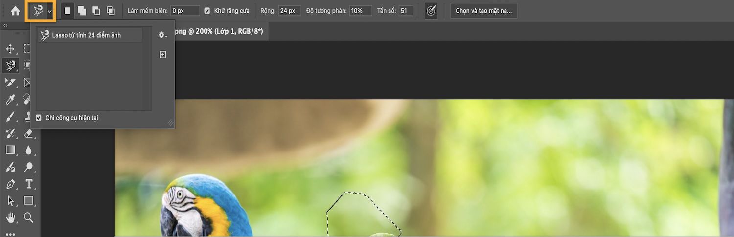Thanh tùy chọn hiển thị các chế độ vùng chọn và hộp kiểm Chỉ công cụ hiện tại được chọn.