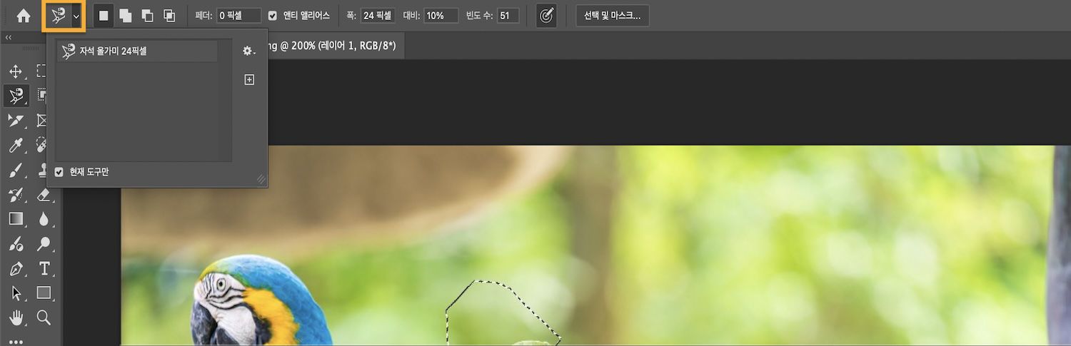 옵션 막대에 선택 모드가 표시되고 현재 도구만 체크박스가 선택되어 있습니다.