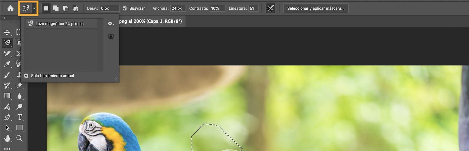 La barra de opciones muestra los modos de selección y la casilla Solo herramienta actual está seleccionada.