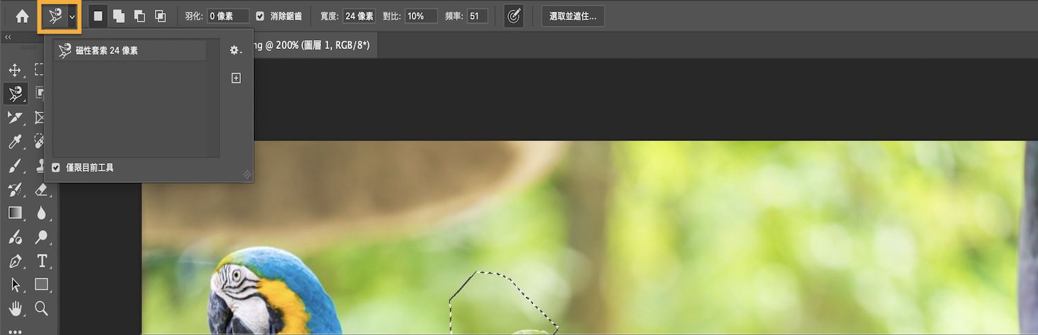 「選項」列中顯示出選取模式，且已選取「僅限目前工具」核取方塊。