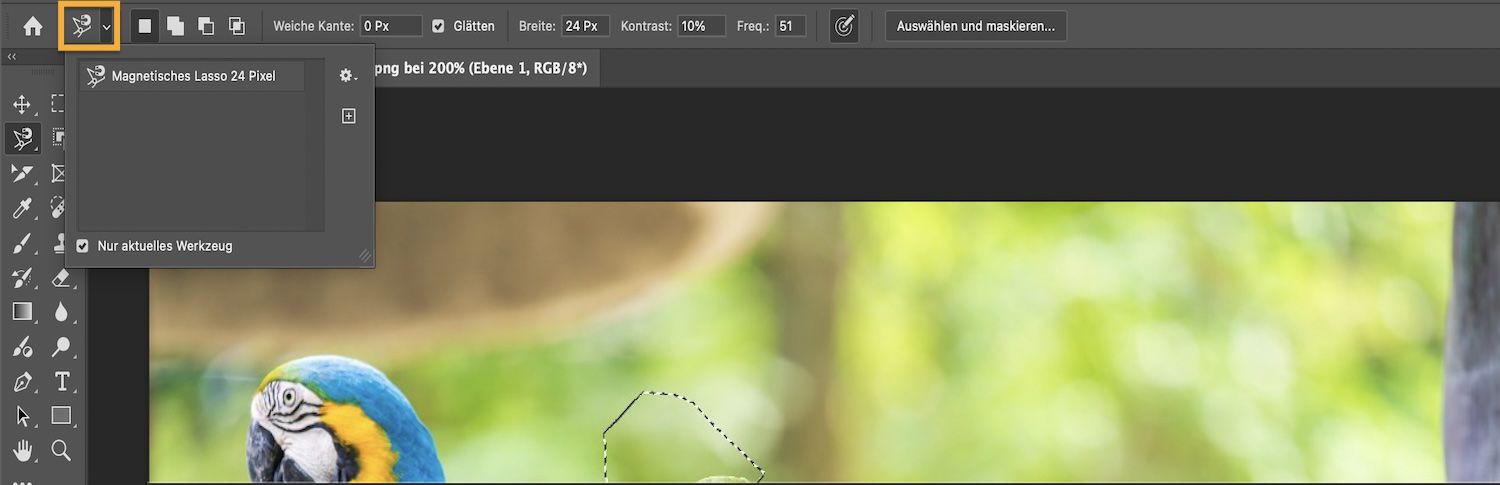 Die Optionsleiste zeigt Auswahlmodi an und das Kontrollkästchen „Nur aktuelles Werkzeug“ ist gewählt.