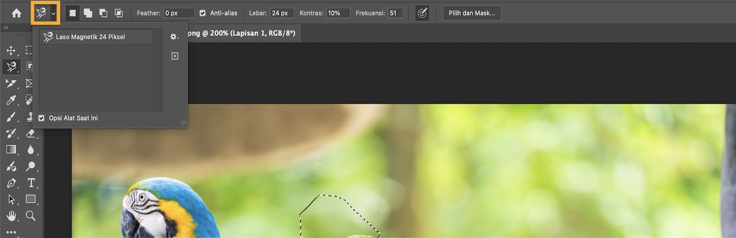Bar opsi menampilkan mode seleksi dan kotak centang Hanya Alat Saat Ini dipilih.