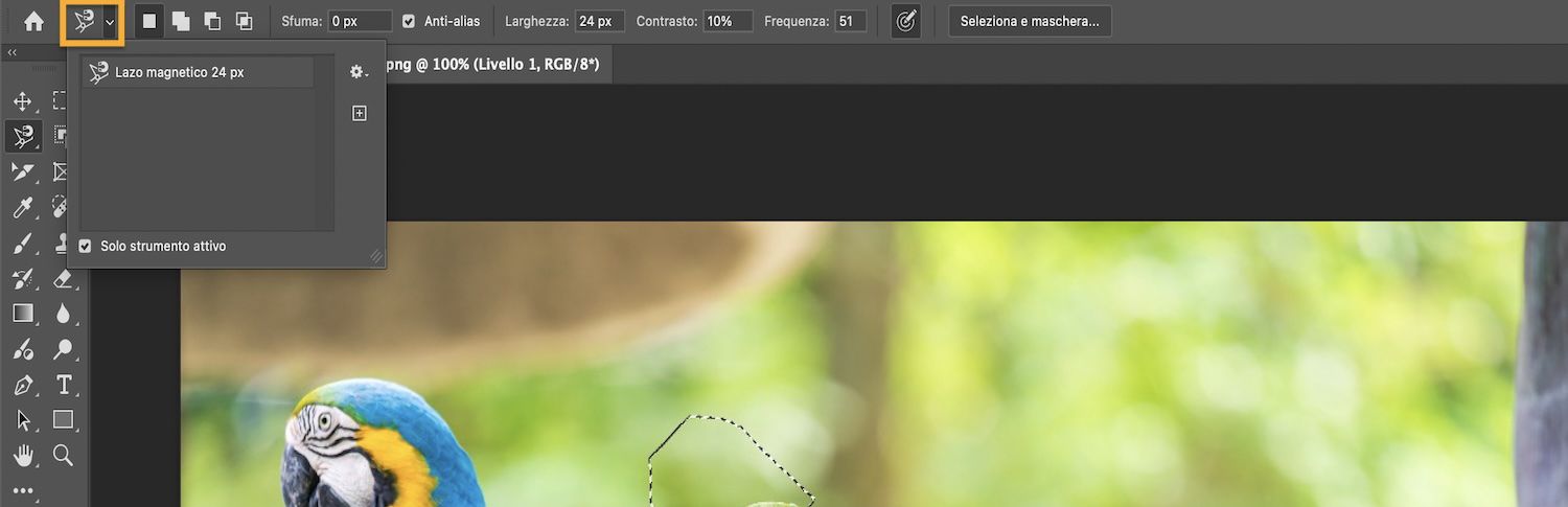 La barra delle opzioni mostra le modalità di selezione e la casella Solo strumento corrente è selezionata.
