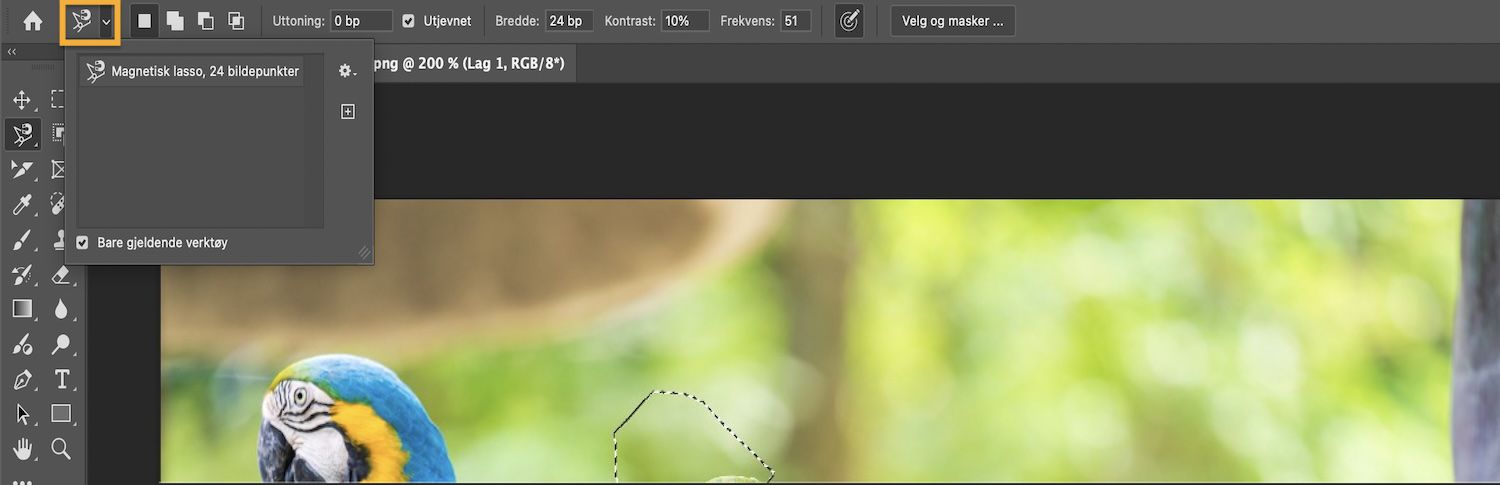 Options-linjen viser markeringsmoduser og avmerkingsboksen Bare gjeldende verktøy er valgt.