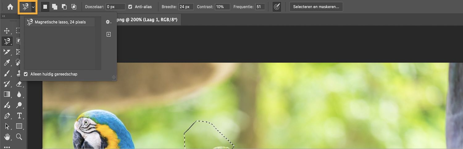 Options balk toont selectiemodi en het vakje Alleen huidig gereedschap is geselecteerd.