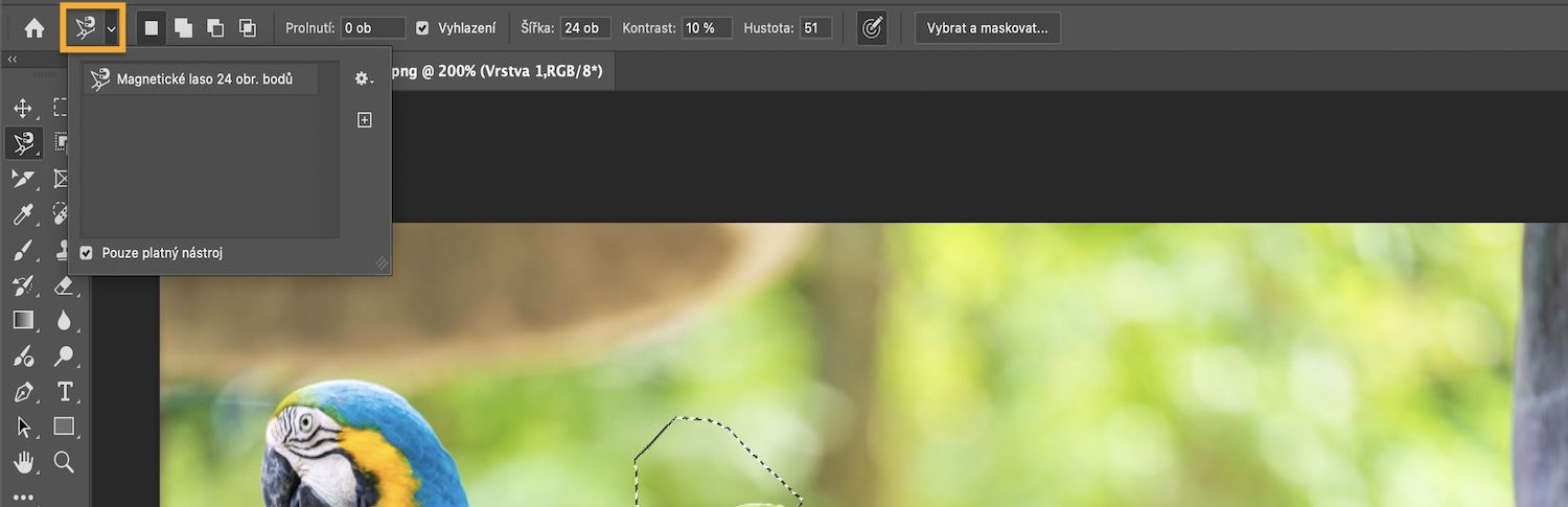 Lišta options zobrazuje režimy výběru a je zaškrtnuté políčko Pouze aktuální nástroj.