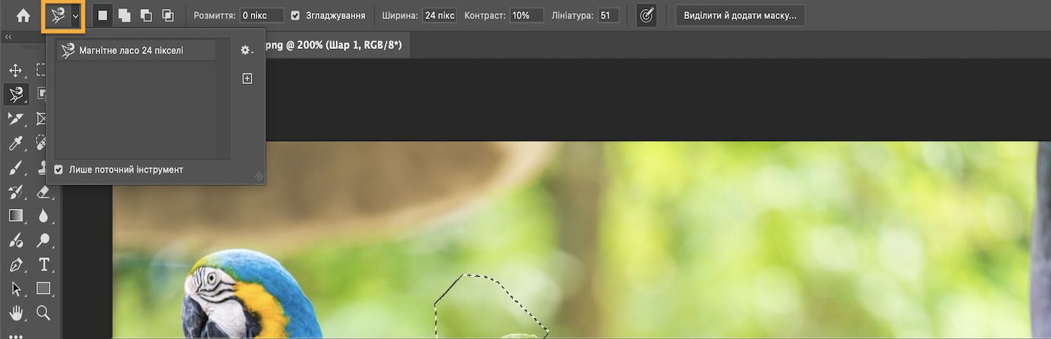 Панель параметрів відображає режими виділення зі встановленим прапорцем «Лише поточний інструмент».