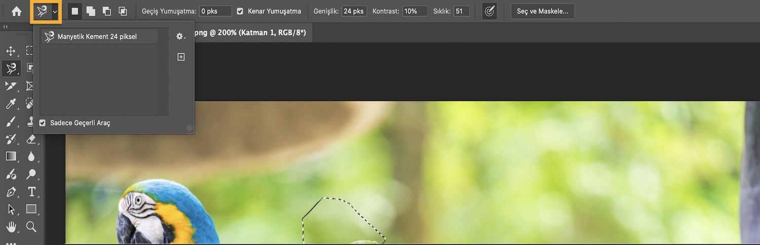 Seçenekler çubuğu seçim modlarını gösterir ve Sadece Geçerli Araç onay kutusu seçilidir.