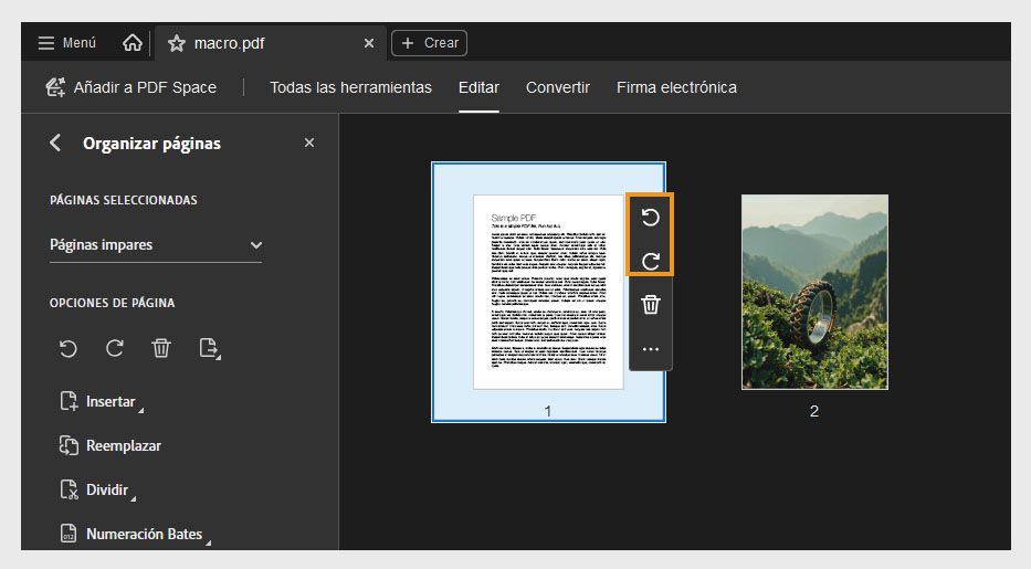 Vista Organizar páginas que muestra opciones para insertar, reemplazar o dividir páginas en un archivo PDF.