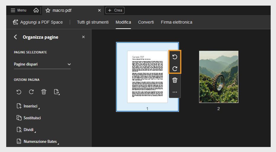 La vista Organizza le pagine mostra le opzioni per inserire, sostituire o dividere le pagine in un file PDF.