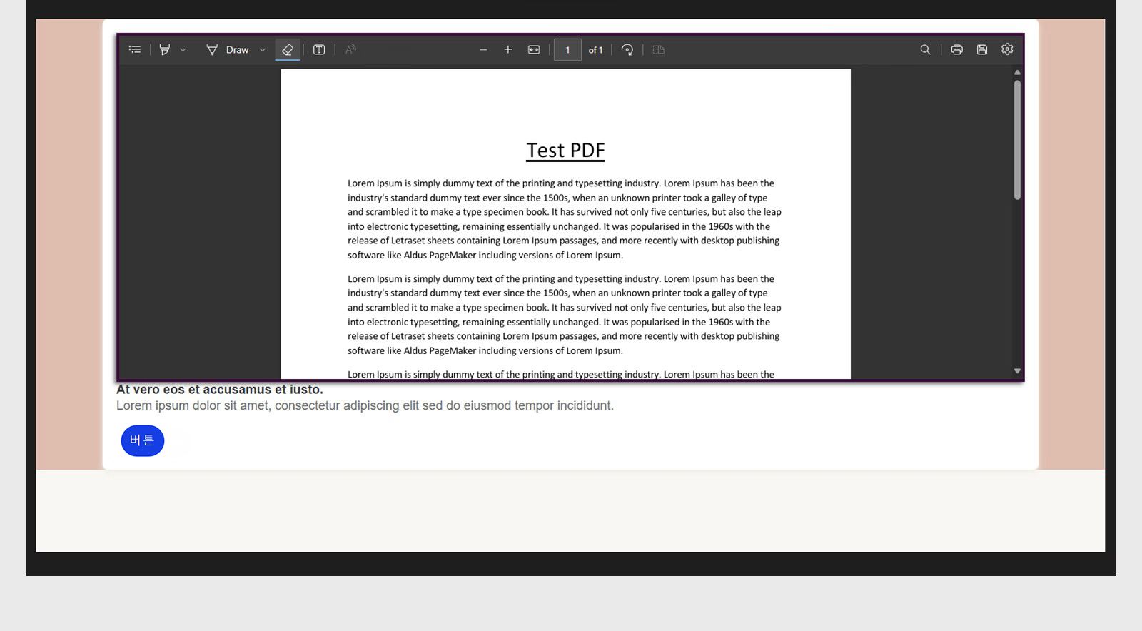 미리 보기 시 PDF