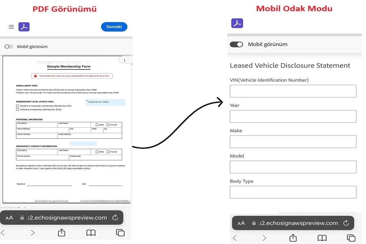 PDF görünümünün ve Mobil Odak görünümünün yan yana görünümü