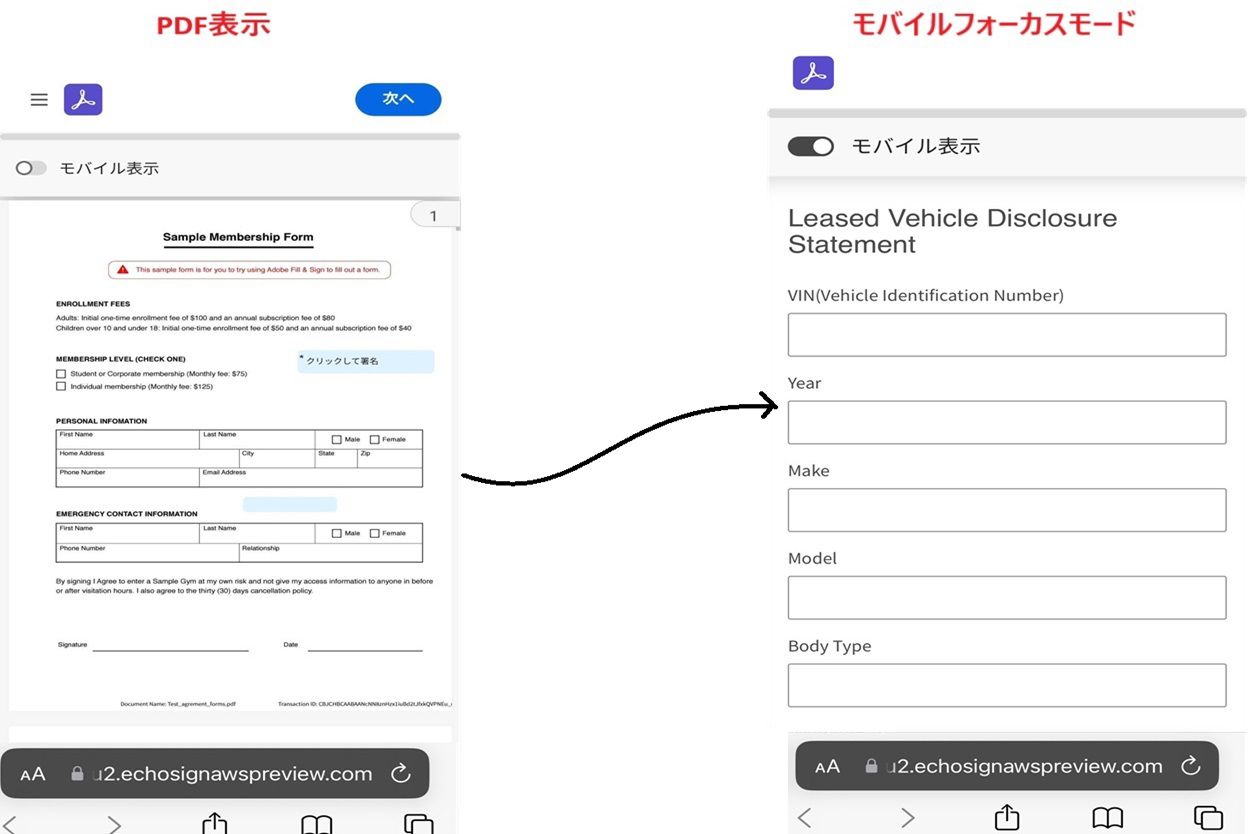 PDF ビューとモバイルフォーカスビューを左右に並べて表示