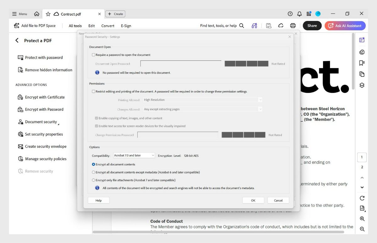 Password Security – Settings dialog box na nagpapakita ng password, pahintulot, at compatibility na mga opsyon.