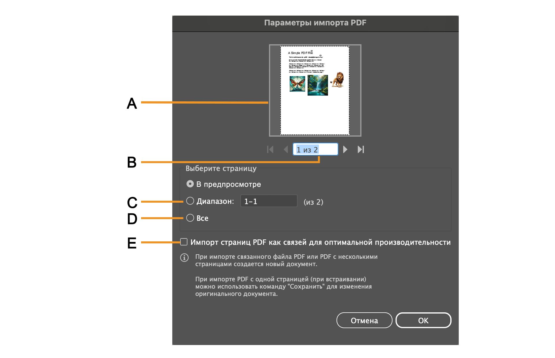 Диалоговое окно «Параметры импорта PDF» с параметрами выбора страниц.