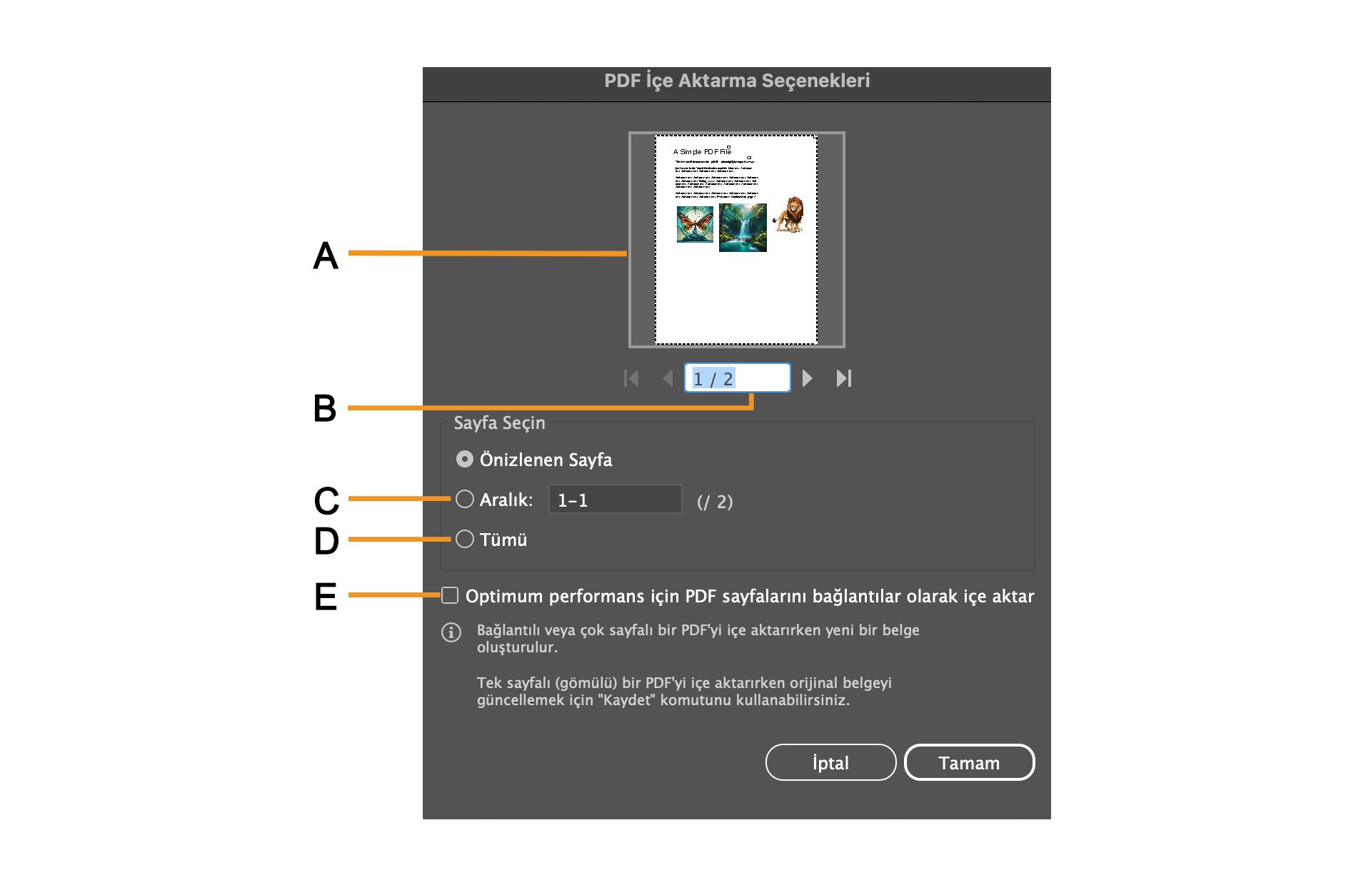 Sayfaları belirleme seçeneklerini içeren PDF İçe Aktarma Seçenekleri iletişim kutusu.