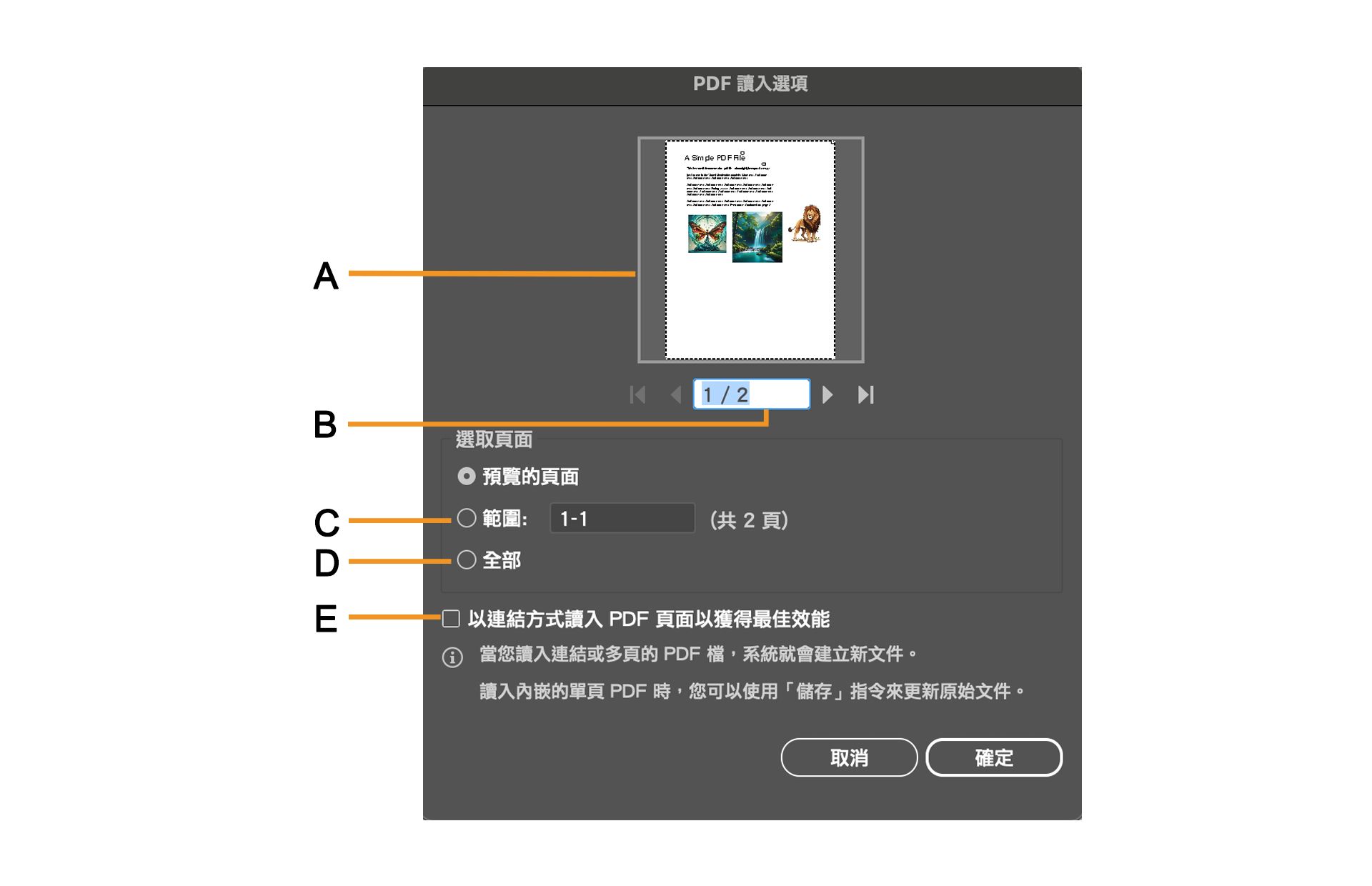 「PDF 讀入選項」對話框與可選取特定頁面的選項。